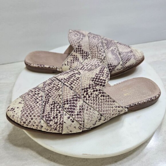 Seychelles Snake‎ Print Mules Womens 8 SlipOn Leather Cream Woven Festival Boho - Picture 1 of 8